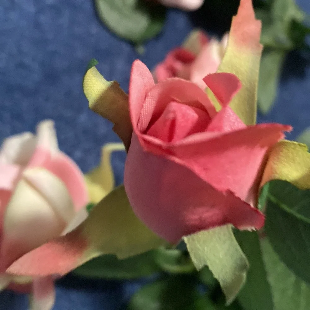 3 Pink Rose Stems